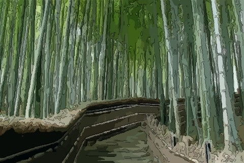 梦见一堆竹子