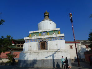 缘定青海 游大美青海塔尔寺,茶卡盐湖 