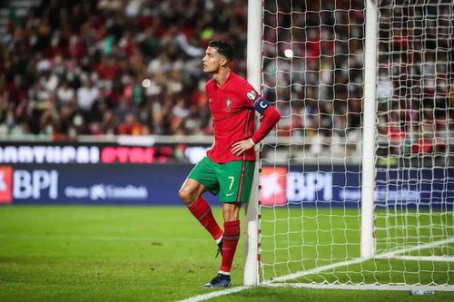 2024欧洲杯葡萄牙,葡萄牙队在2024年欧洲杯的表现