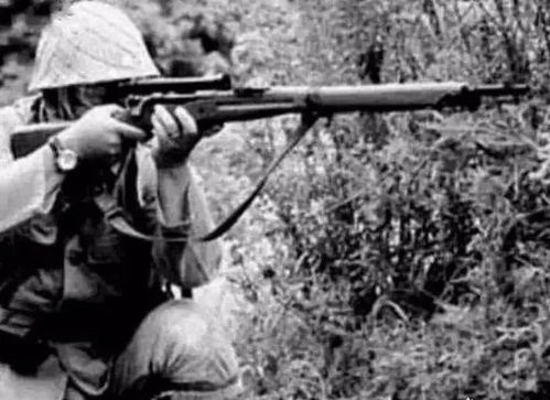 在太平洋战场上, 日本狙击手为什么要把自己拴在树上不留退路
