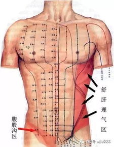 雨水养生 调肝胆,健脾胃 为全年打基础