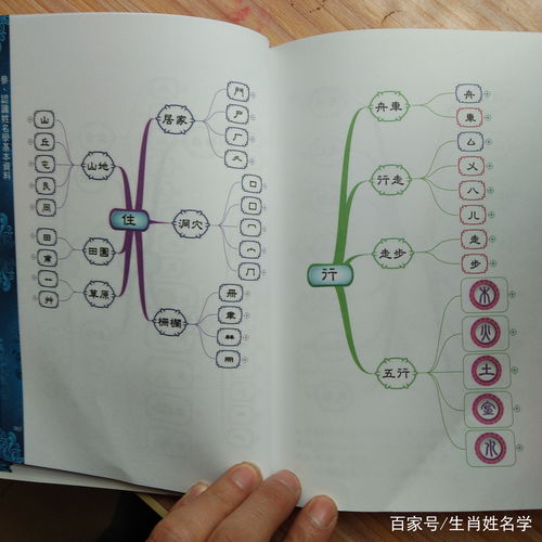 12生肖起名的宜用字和禁忌！