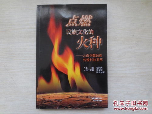 点燃民族文化的火种――云南少数民族传统科技荟萃...157945