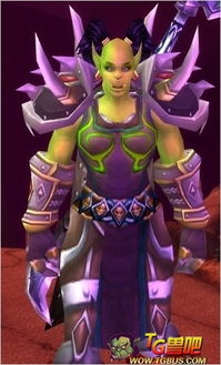 紫色伊利达雷战袍(魔兽世界8.0争霸艾泽拉斯前夕：值得收藏的物品)