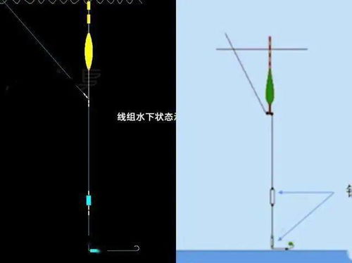 何为双铅线组 深度解析台钓双铅 传统双铅的特点