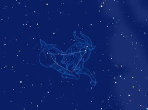 摩羯座有几个主星，摩羯座有哪几颗星组成(摩羯座分为哪几个星区)