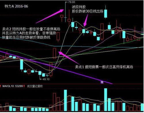 现在中国股市A股市场一共有多少支股票了？上海，深圳市场的主板，中小板，创业板，等等，都加起来。