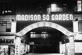 第四十四期 麦迪逊广场花园,不只是 篮坛麦加 