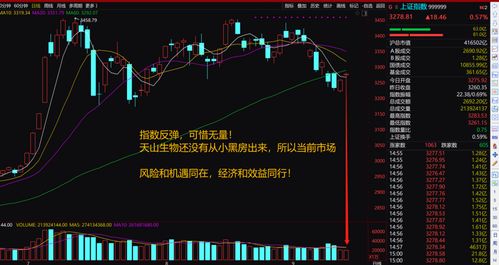 如何对股票进行基本面分析