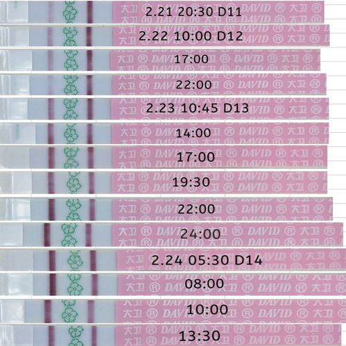 科学备孕儿子,如何使用排卵试纸,什么时间可以测