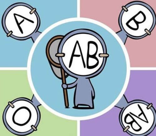 A型 B型 AB型 O型血,不同血型各有什么特征 哪种血型更健康