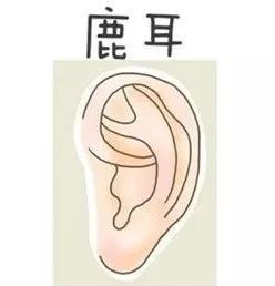 面相说 耳大有福 10种耳朵类型看懂你的福气和爱情 