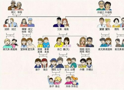 与本人关系如何怎么填写  第2张