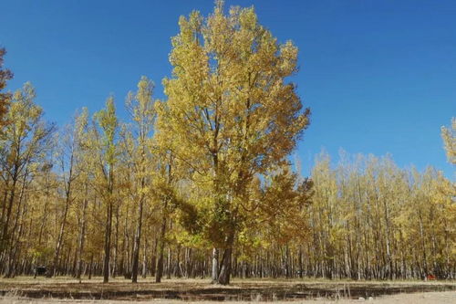 什么时间去拉萨最好 一年四季都好