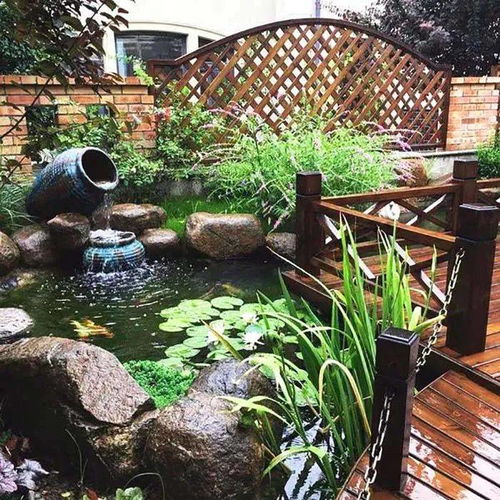如果你有个院子,一定要有个鱼池