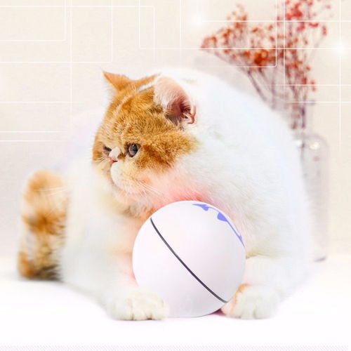 猫玩具电动逗猫球自动智能球小猫玩具自嗨可充电网红抖音猫咪用品
