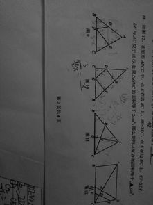 关于初三相似三角形的问题 图片欣赏中心 急不急图文 Jpjww Com