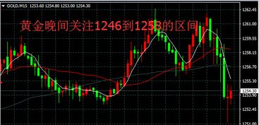 了解泛欧如何观察尾盘变动研判多空方向