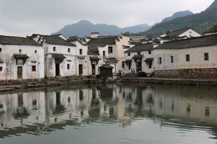 探访上海绝美的古村古镇，揭开历史的面