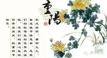 重阳节祝福短信大全,让祝福飞起来