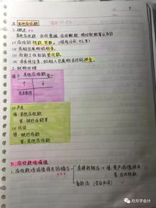 这位女学霸的初级会计实务笔记,看着爽极了