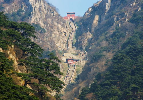 山东 和 山西 都有 山 ,可这里的山,指的是哪座山