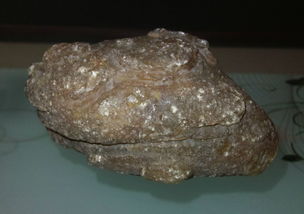 这块天然石头能划伤玻璃,请问专家们这石头会是啥材质 有收藏价值吗 