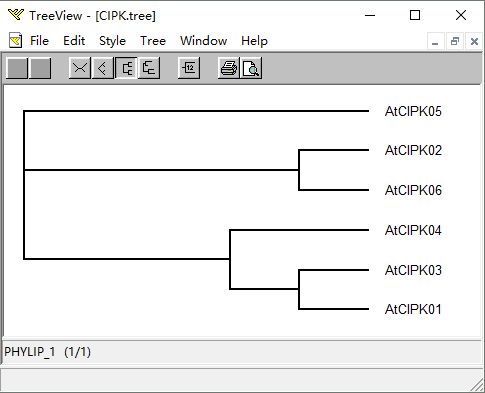 file tree,Understanding the File Tree Concept