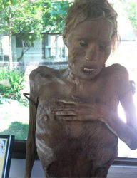 泰国干尸博物馆那个女尸是谁,揭秘泰国干尸博物馆女尸之谜：一段尘封的历史，一段未解的情缘