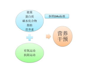 科学查重，合理减重：专家推荐的方法