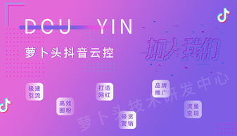 抖音seo网站推广