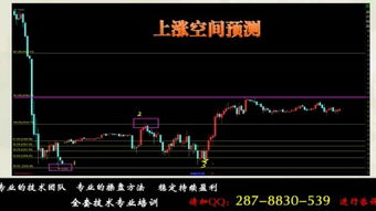 可以看伦敦黄金期货的通达信软件