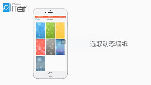 苹果手机怎么设置动态壁纸 