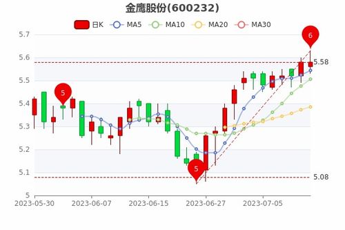 金鹰股份最新消息