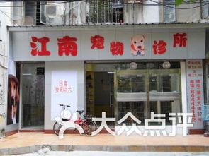 广州海珠区宠物医院 广州海珠区宠物医院宠物 
