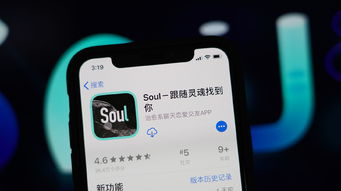 soul币花费记录,soul如何查看账单