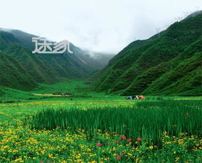 四川旅游哪里好玩 四川旅游好去处