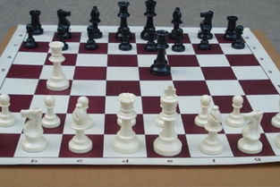 梦见你在国际象棋赛中输了是什么意思(梦到国际象棋棋子)