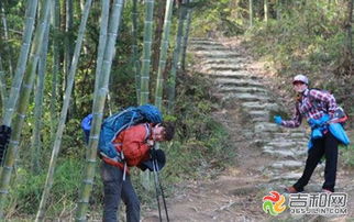 一次登山旅行作文