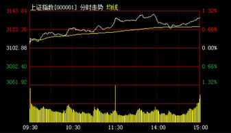 上证指数昨天大涨三十点。为什么我买的大盘蓝筹股只涨了一点。这就是他们说的是长指数不涨钱吗？