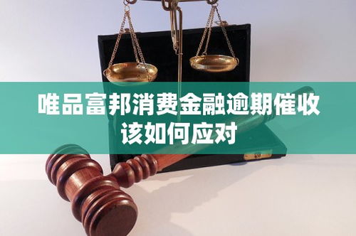  唯品富邦消费金融电话,您的金融问题解答热线 天富官网