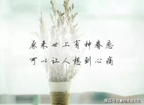 那些伤感到流泪的句子,文艺忧伤,看得心都碎了