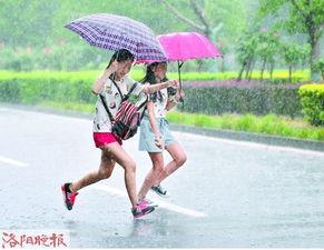 昨日大雨来得急 洛阳市部分路段现积水 