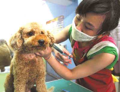 宠物毛引发鼻炎哮喘