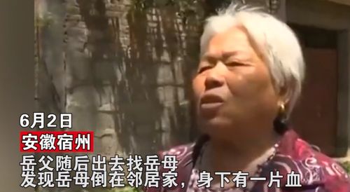 狗咬死邻家老人后上吊自杀 为逃避追责,无赖主人荒唐发言