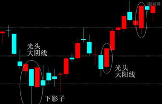 INTERGROUP 图表太多看的头发懵 外汇新手看这4个就够了