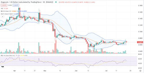 狗狗币最新消息价格行情分析