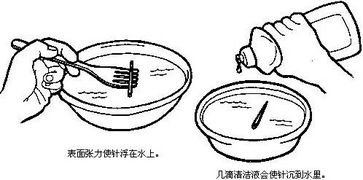 如何才能把一颗针放在水上,而使之不掉下去 