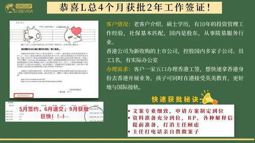 词汇查重网——让内容创作更纯粹