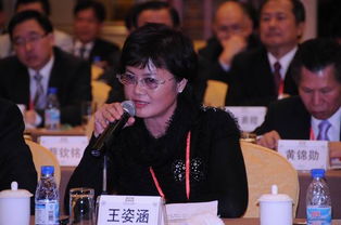 2010年台协会长座谈会在沈阳召开 